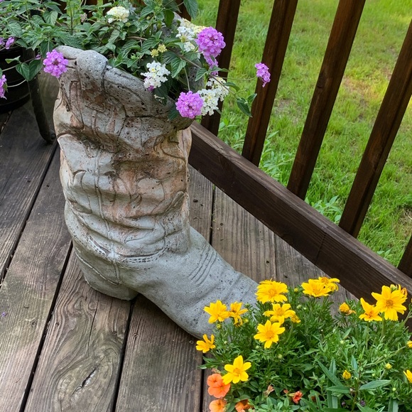 Lisa - Picture 2 of 3